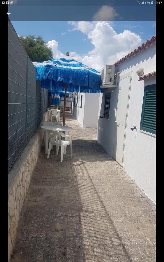 Alga Blu Sul Mare