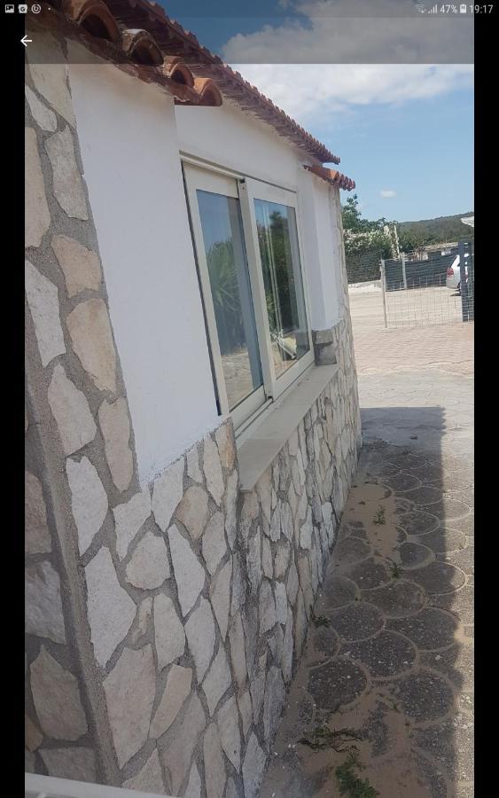 Alga Blu Sul Mare Vieste