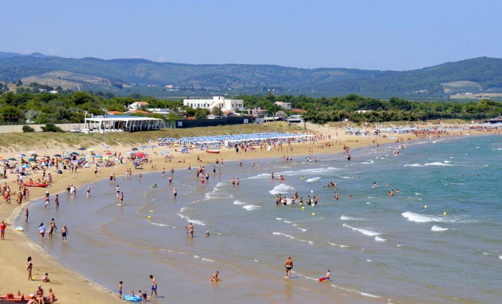 Alga Blu Sul Mare Vieste