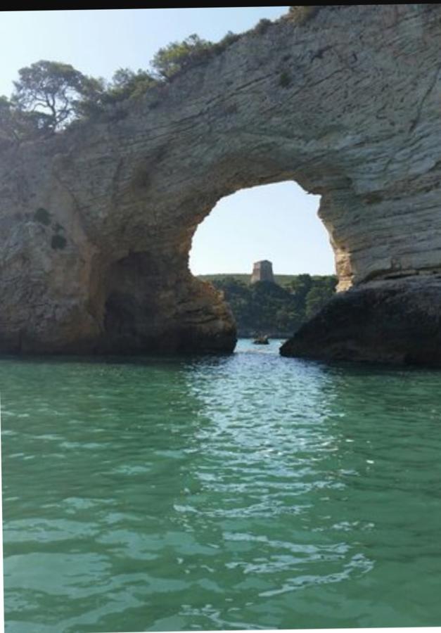 Bed & Breakfast Alga Blu Sul Mare Vieste