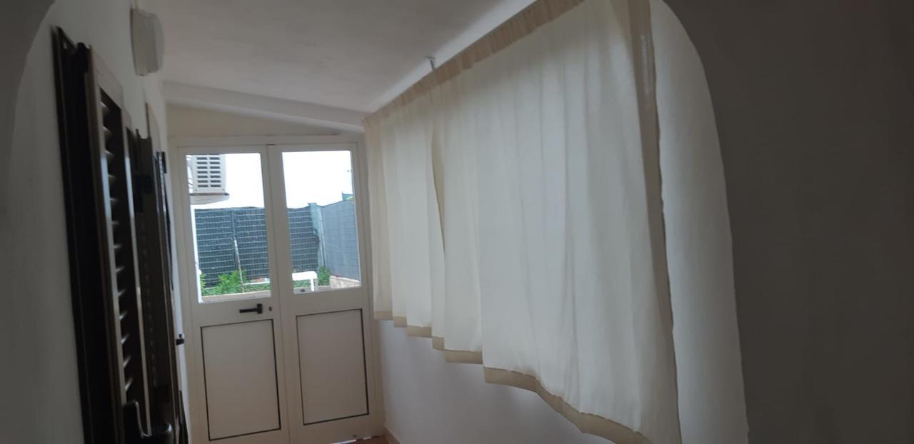 Alga Blu Sul Mare Bed & Breakfast *